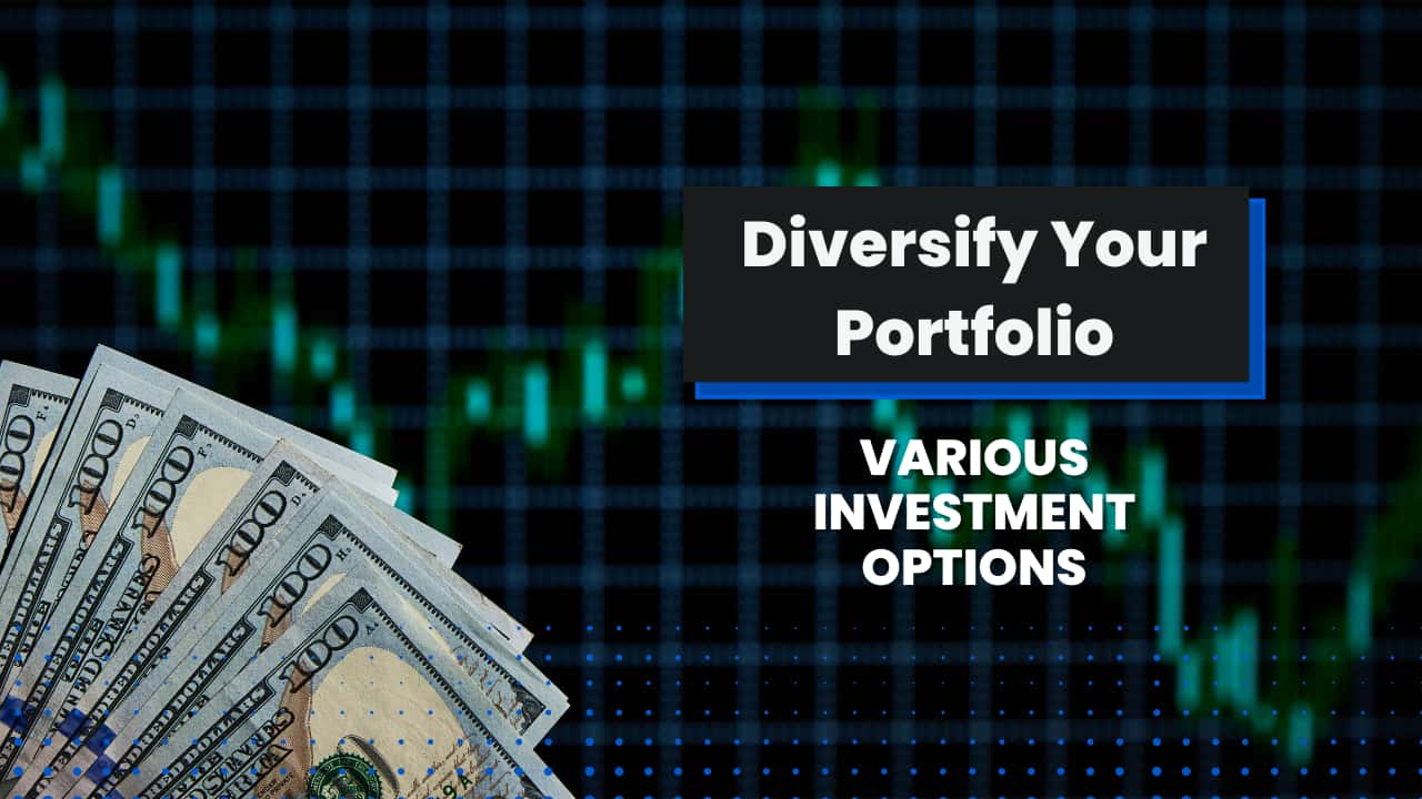 Diversify Your Portfolio